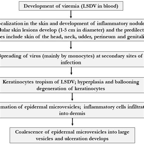 pathogenesis of lumpy skin disease